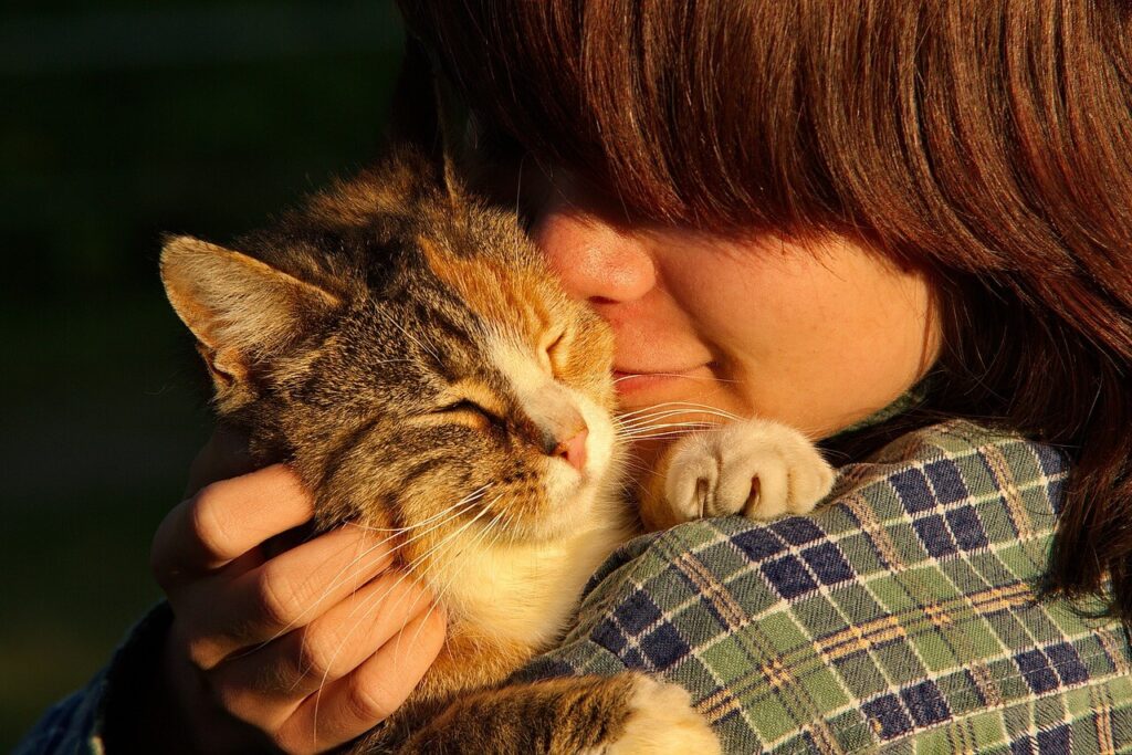 Los Beneficios De Tener Un Gato Para La Salud Medicalness Com